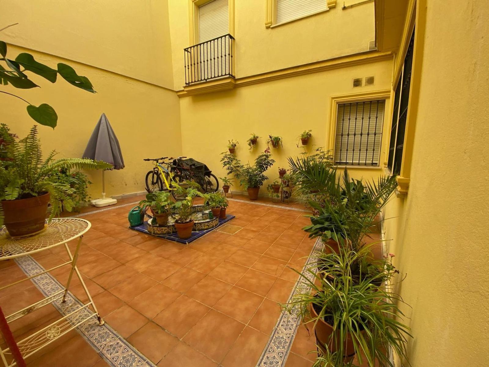 La Azotea Del Sol Apartment เซบีญา ภายนอก รูปภาพ
