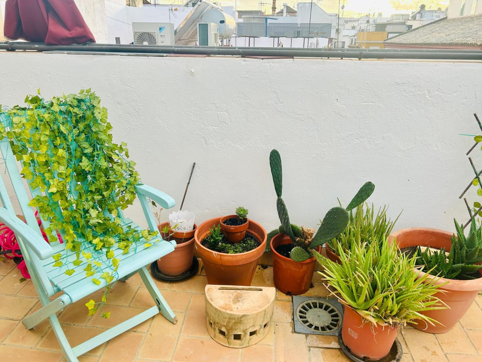 La Azotea Del Sol Apartment เซบีญา ภายนอก รูปภาพ